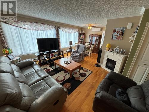 177 Old Petty Harbour Road, St. John'S, NL - Indoor Photo Showing Living Room With Fireplace