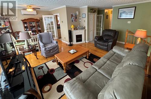 177 Old Petty Harbour Road, St. John'S, NL - Indoor Photo Showing Living Room With Fireplace