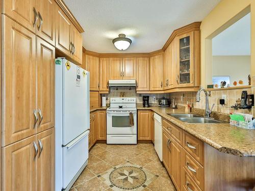 Cuisine - 40 Rue D'Albanel, Gatineau (Gatineau), QC - Indoor Photo Showing Kitchen With Double Sink