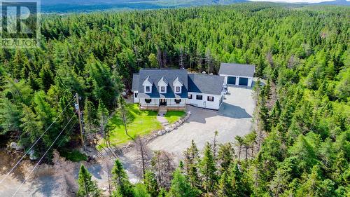 55A Duffs Road, Holyrood, NL - Outdoor With View