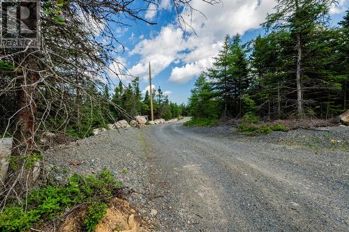 55A Duffs Road, Holyrood, NL - Outdoor With View