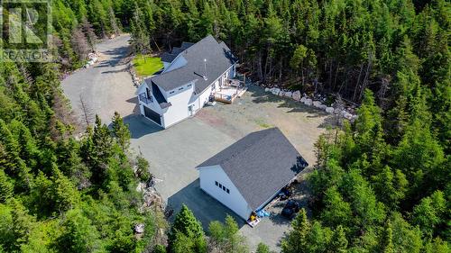 55A Duffs Road, Holyrood, NL - Outdoor With View