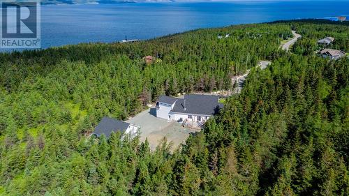 55A Duffs Road, Holyrood, NL - Outdoor With Body Of Water With View