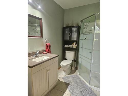 432 Bayles Road, Nakusp, BC - Indoor Photo Showing Bathroom