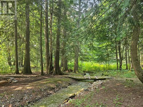 432 Bayles Road, Nakusp, BC - Outdoor With View