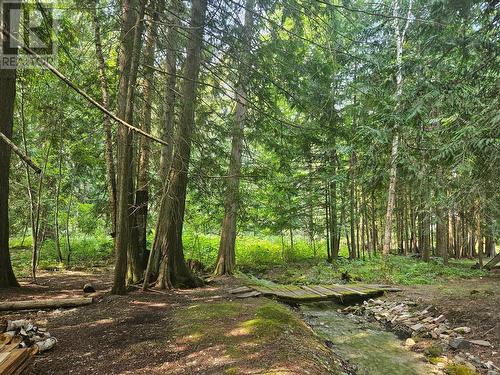 432 Bayles Road, Nakusp, BC - Outdoor With View