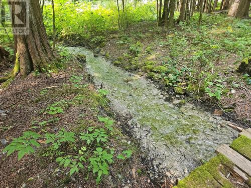 432 Bayles Road, Nakusp, BC - Outdoor