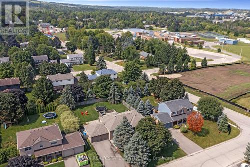 38 Erinlea Crescent, Erin, ON - Outdoor With View