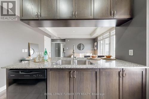 312 - 54 Sky Harbour Drive, Brampton, ON - Indoor Photo Showing Kitchen With Double Sink With Upgraded Kitchen