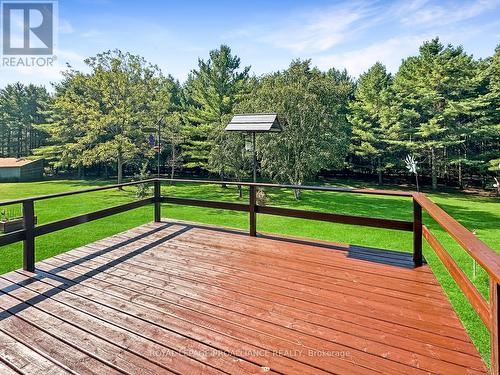 9 Mackenzie Road, Quinte West, ON - Outdoor With Deck Patio Veranda