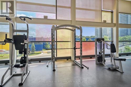 Th5 - 33 Singer Court, Toronto (Don Valley Village), ON - Indoor Photo Showing Gym Room