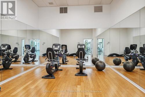 Th5 - 33 Singer Court, Toronto (Don Valley Village), ON - Indoor Photo Showing Gym Room