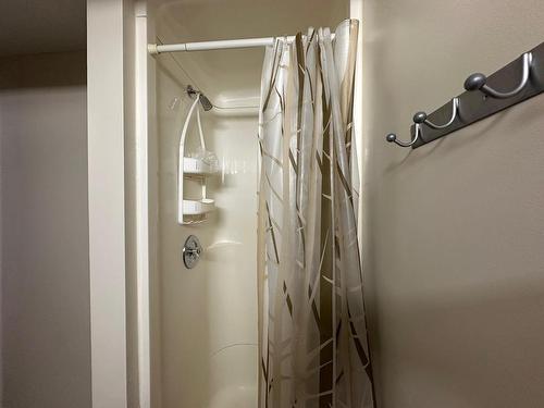 131 Ravenwood Avenue, Thunder Bay, ON - Indoor Photo Showing Bathroom