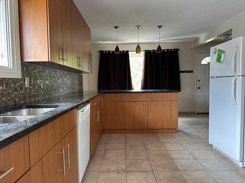 131 Ravenwood Avenue, Thunder Bay, ON - Indoor Photo Showing Kitchen With Double Sink