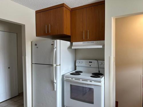 131 Ravenwood Avenue, Thunder Bay, ON - Indoor Photo Showing Kitchen