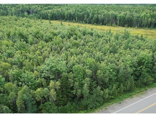 Lot 92-3,4 368 Highway, South Middleboro, NS 