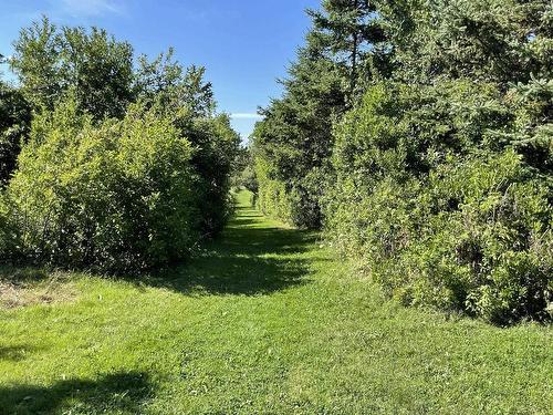 Lot 10 Sunset Drive, Malagash, NS 