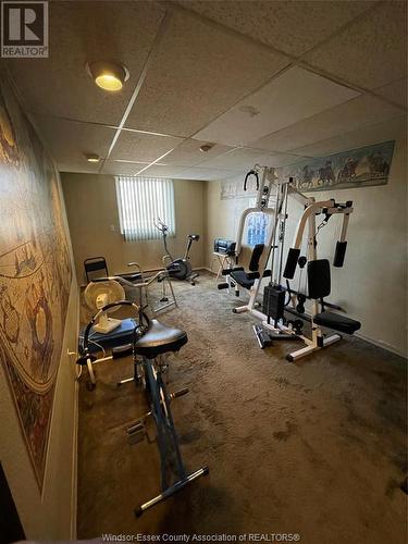 120 Pickering Drive Unit# 503, Amherstburg, ON - Indoor Photo Showing Gym Room