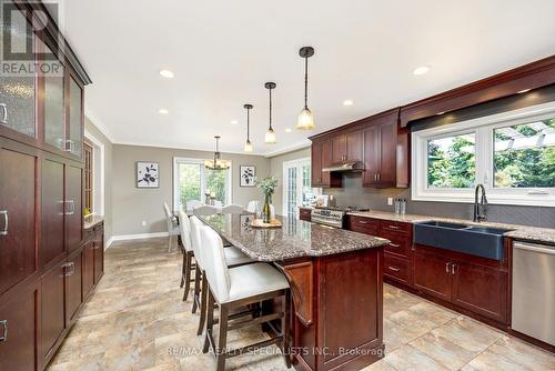 6 Vanstraalen Street, Hamilton (Carlisle), ON - Indoor Photo Showing Kitchen With Double Sink With Upgraded Kitchen