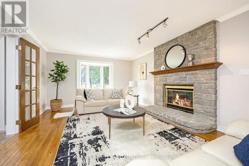 6 Vanstraalen Street, Hamilton (Carlisle), ON - Indoor Photo Showing Living Room With Fireplace