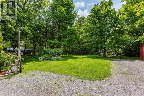 3369 Baseline Road, Georgina (Belhaven), ON - Outdoor