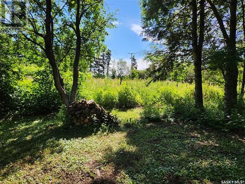 Holinaty Acreage, Porcupine Rm No. 395, SK - Outdoor