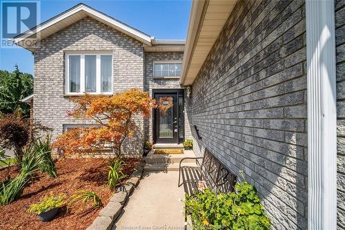 10258 Paulina, Windsor, ON - Outdoor