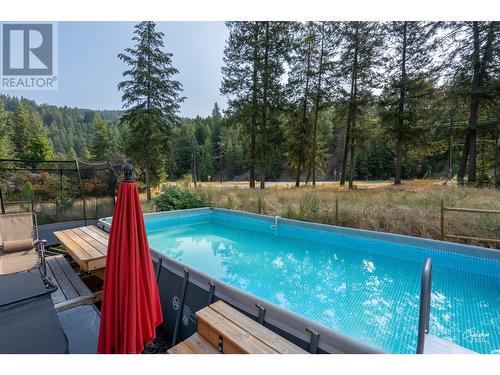 2111 Dunn Road, Christina Lake, BC - Outdoor With Above Ground Pool With Backyard