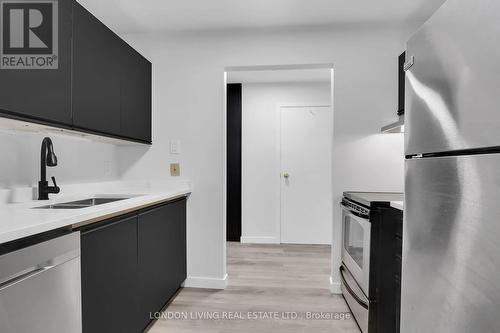 207 - 727 Deveron Crescent, London, ON - Indoor Photo Showing Kitchen With Double Sink