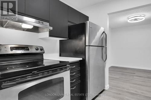 207 - 727 Deveron Crescent, London, ON - Indoor Photo Showing Kitchen