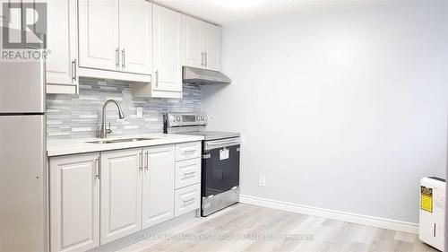 Lower - 359 Buena Vista Avenue, Oshawa (Stevenson), ON - Indoor Photo Showing Kitchen With Double Sink