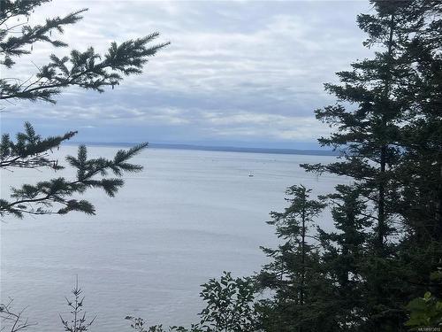 Sl4-129 Joyce Rd, Quadra Island, BC 