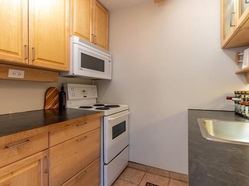 114-870 Mcqueen Drive, Kamloops, BC - Indoor Photo Showing Kitchen