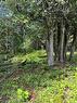 Lot 23 Dwyer Hill Road, Ottawa, ON 