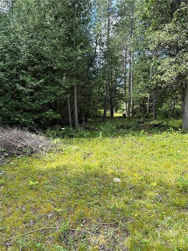 Lot 23 Dwyer Hill Road, Ottawa, ON 