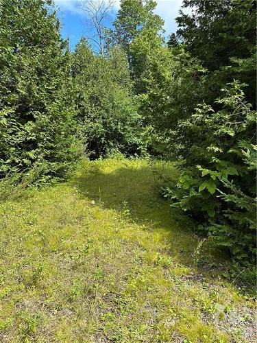 Lot 23 Dwyer Hill Road, Ottawa, ON 