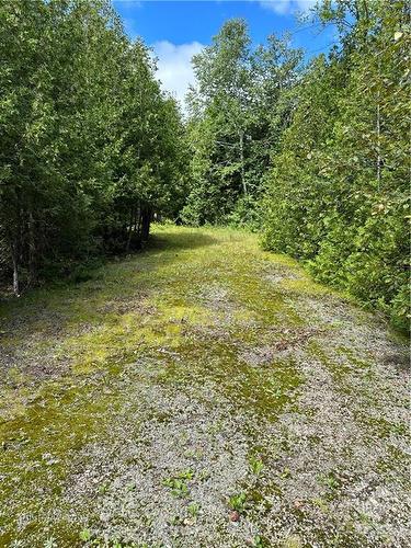 Lot 23 Dwyer Hill Road, Ottawa, ON 