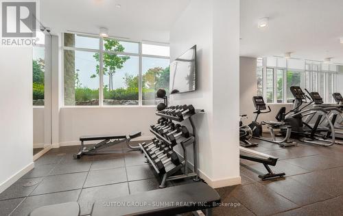 1408 - 10 Deerlick Court, Toronto (Parkwoods-Donalda), ON - Indoor Photo Showing Gym Room