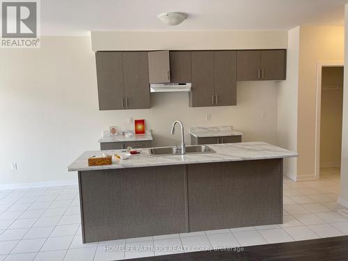 60 Monteith Drive, Brantford, ON - Indoor Photo Showing Kitchen With Double Sink