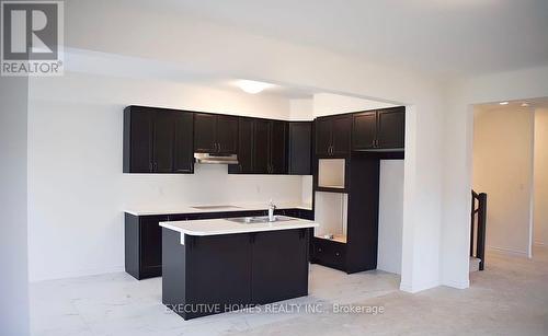 76 Stauffer Road, Brantford, ON - Indoor Photo Showing Kitchen With Double Sink