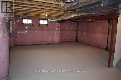 76 Stauffer Road, Brantford, ON - Indoor Photo Showing Basement