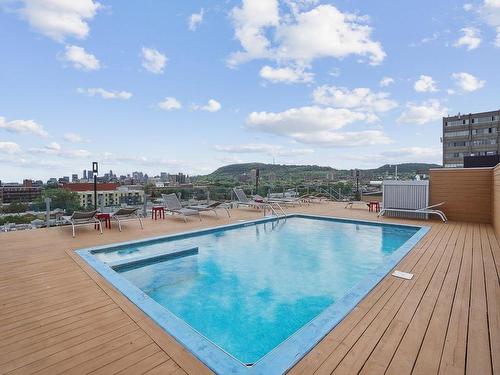 Piscine - 503-245 Rue Maguire, Montréal (Le Plateau-Mont-Royal), QC - Outdoor With In Ground Pool With View