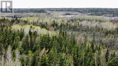 Lot #2 Sandy Point Road, Norris Arm, NL 