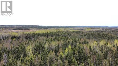 Lot #2 Sandy Point Road, Norris Arm, NL 