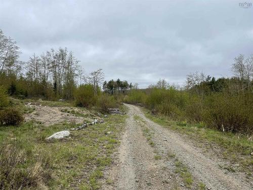 Lot C-1 Baker Point Road, Molega North, NS 