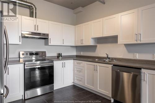 2109 Ottawa Street Unit# 204, Windsor, ON - Indoor Photo Showing Kitchen With Double Sink