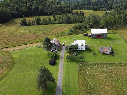 Overall view - 21 8E Concession, Grenville-Sur-La-Rouge, QC 