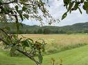 Land/Lot - 21 8E Concession, Grenville-Sur-La-Rouge, QC 