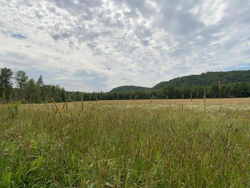 Land/Lot - 21 8E Concession, Grenville-Sur-La-Rouge, QC 