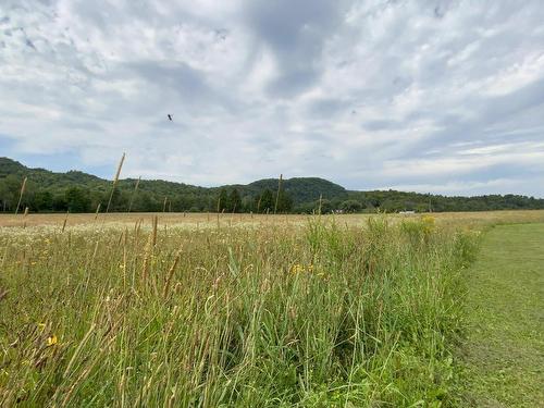 Land/Lot - 21 8E Concession, Grenville-Sur-La-Rouge, QC 